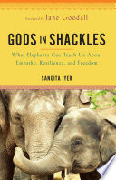 Gods In Shackles What Elephants Can Teach Us About Empathy Resilience And Freedom Sangita Iyer