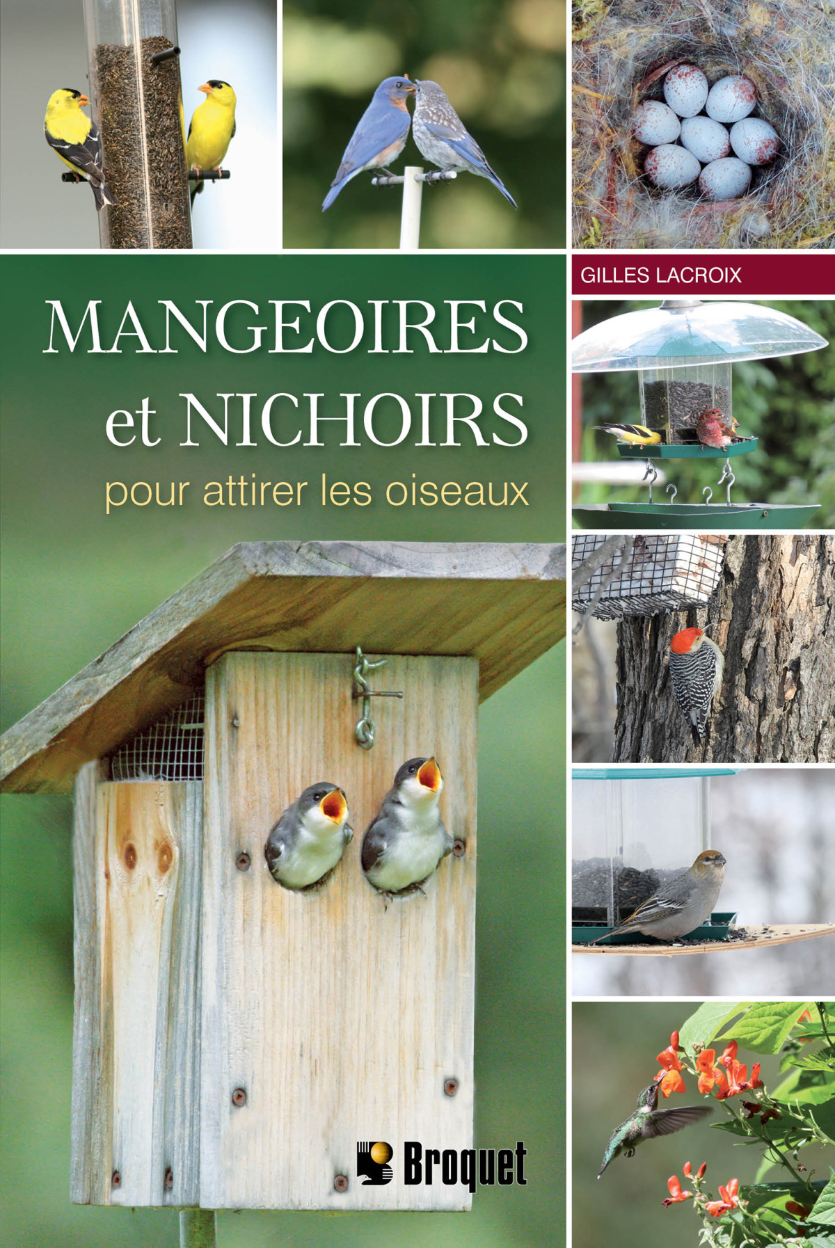 Mangeoires Et Nichoirs Pour Attirer Les Oiseaux Gilles Lacroix
