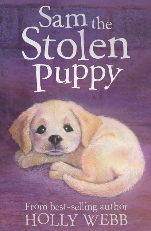 Sam The Stolen Puppy Paperback Holly Webb Holly Webb