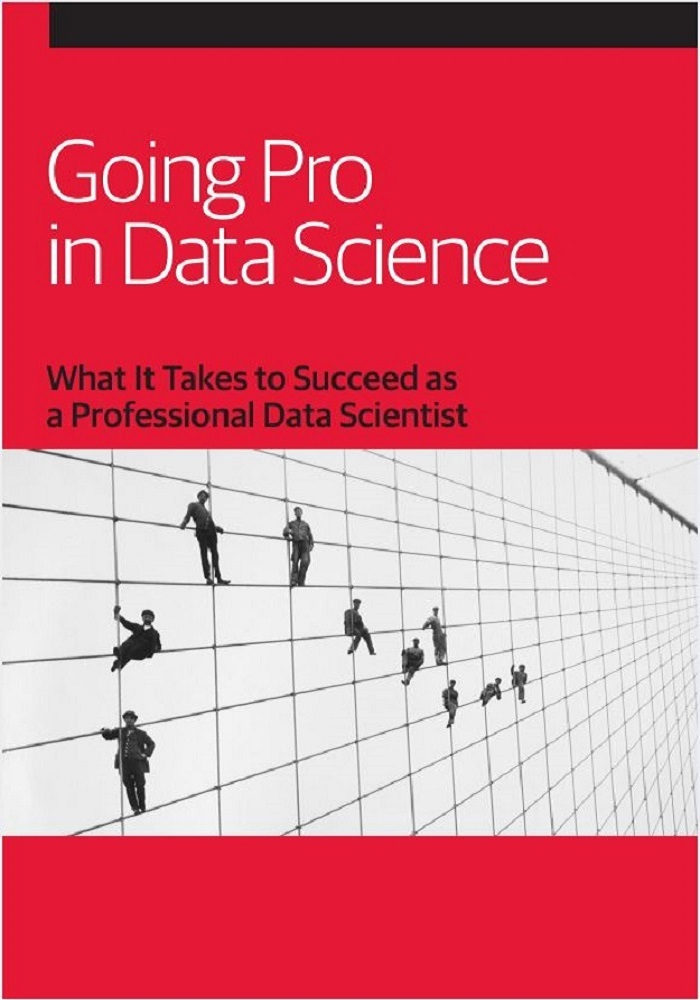 Going Pro In Data Science What It Takes To Succeed As A Professional Data Scientist Jerry Overton