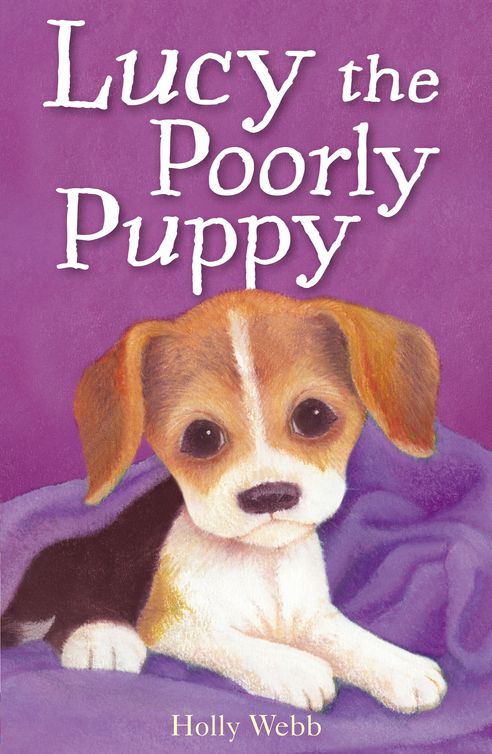 Lucy The Poorly Puppy Holly Webb