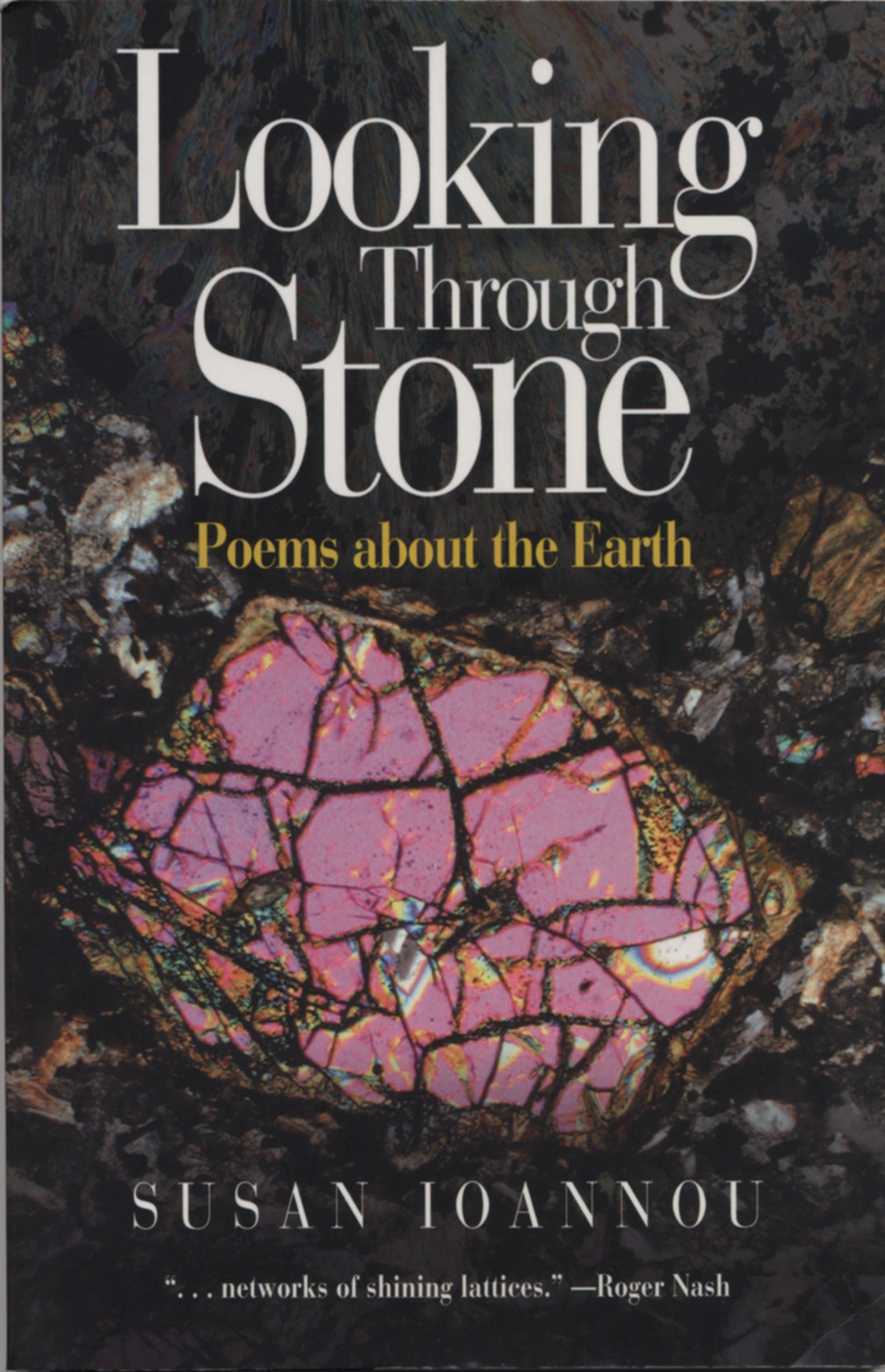 Looking Through Stone Susan Ioannou