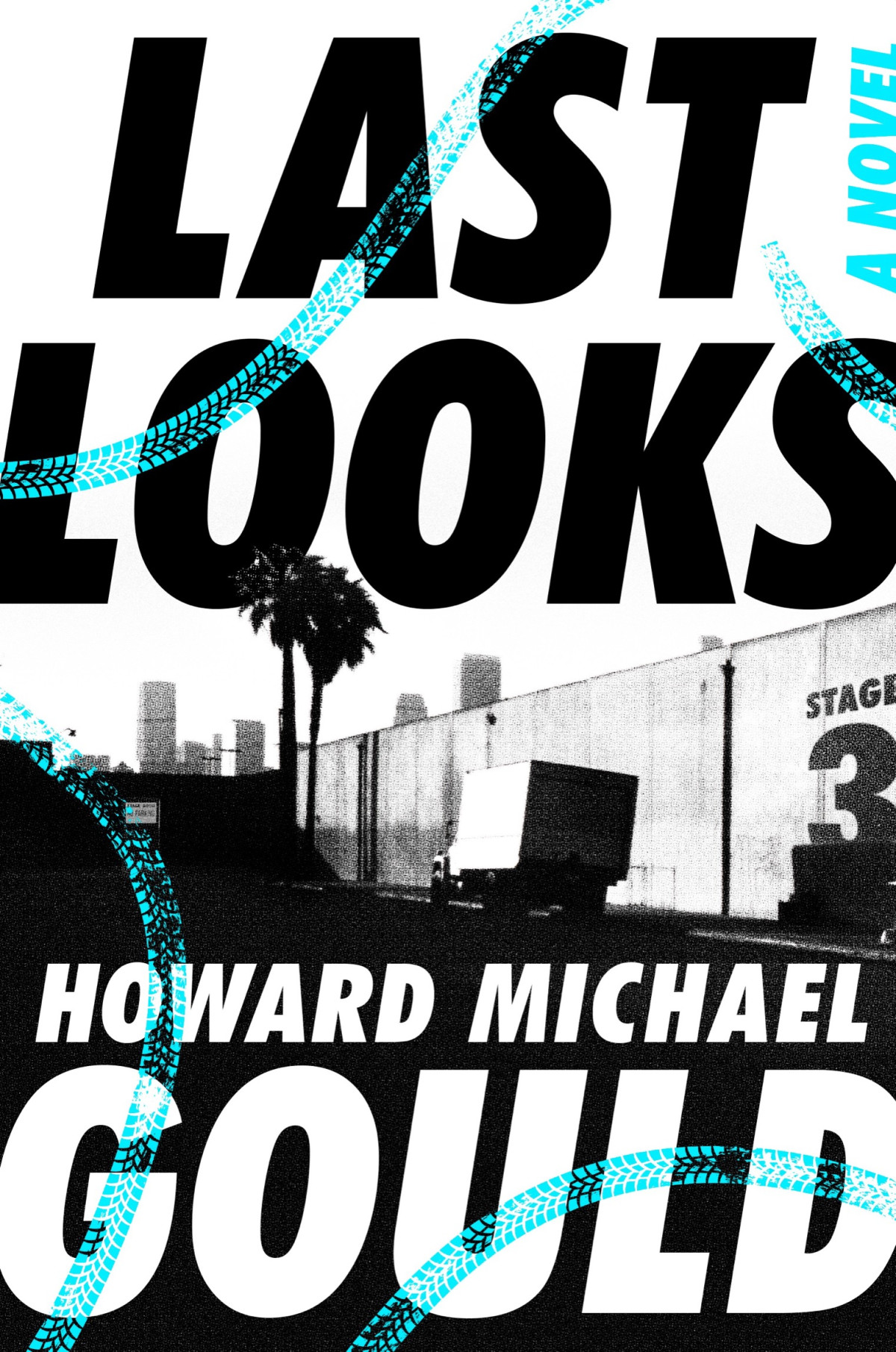 Last Looks Howard Michael Gould