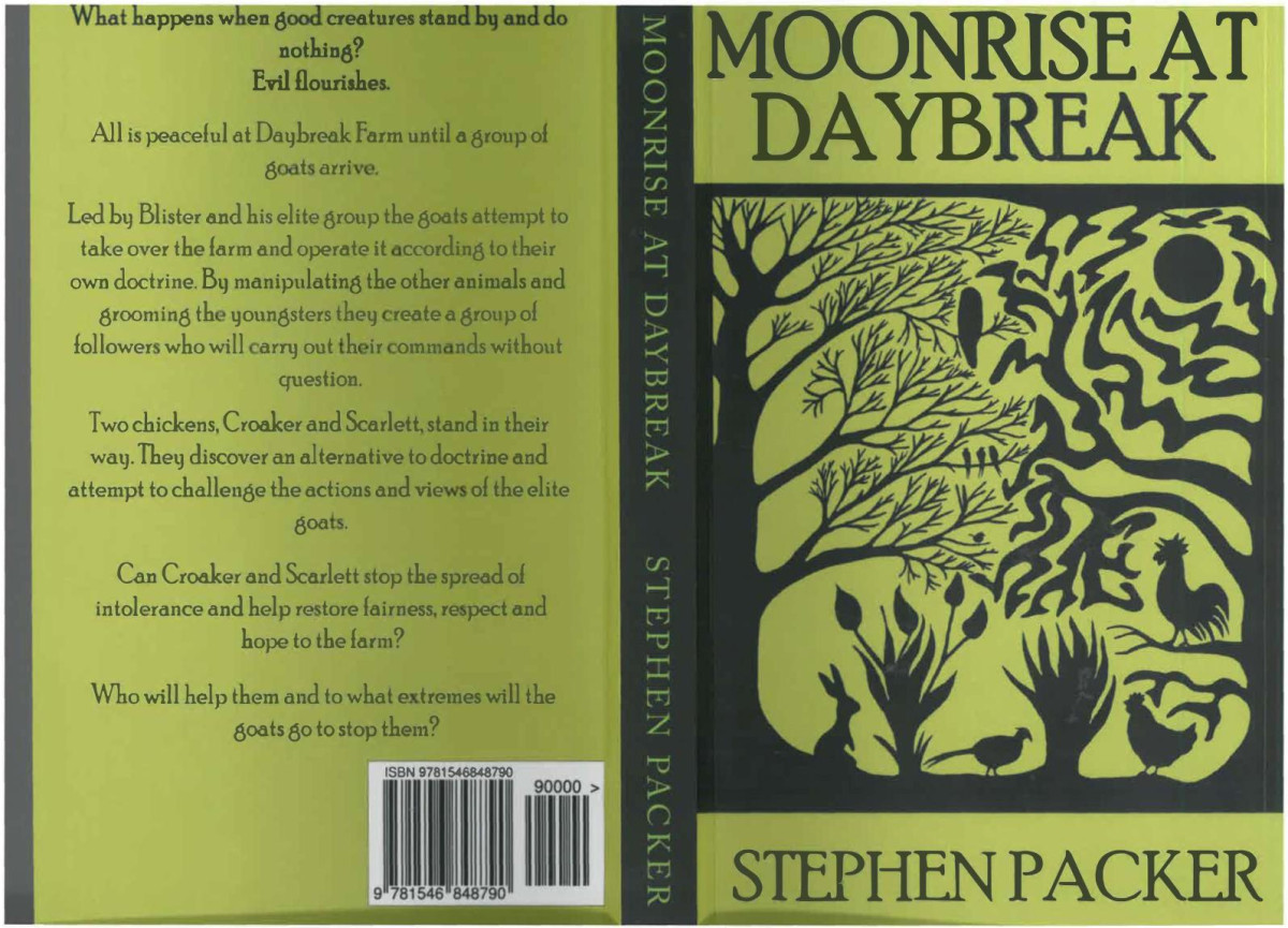 Moonrise At Daybreak 1st Edition Stephen Packer