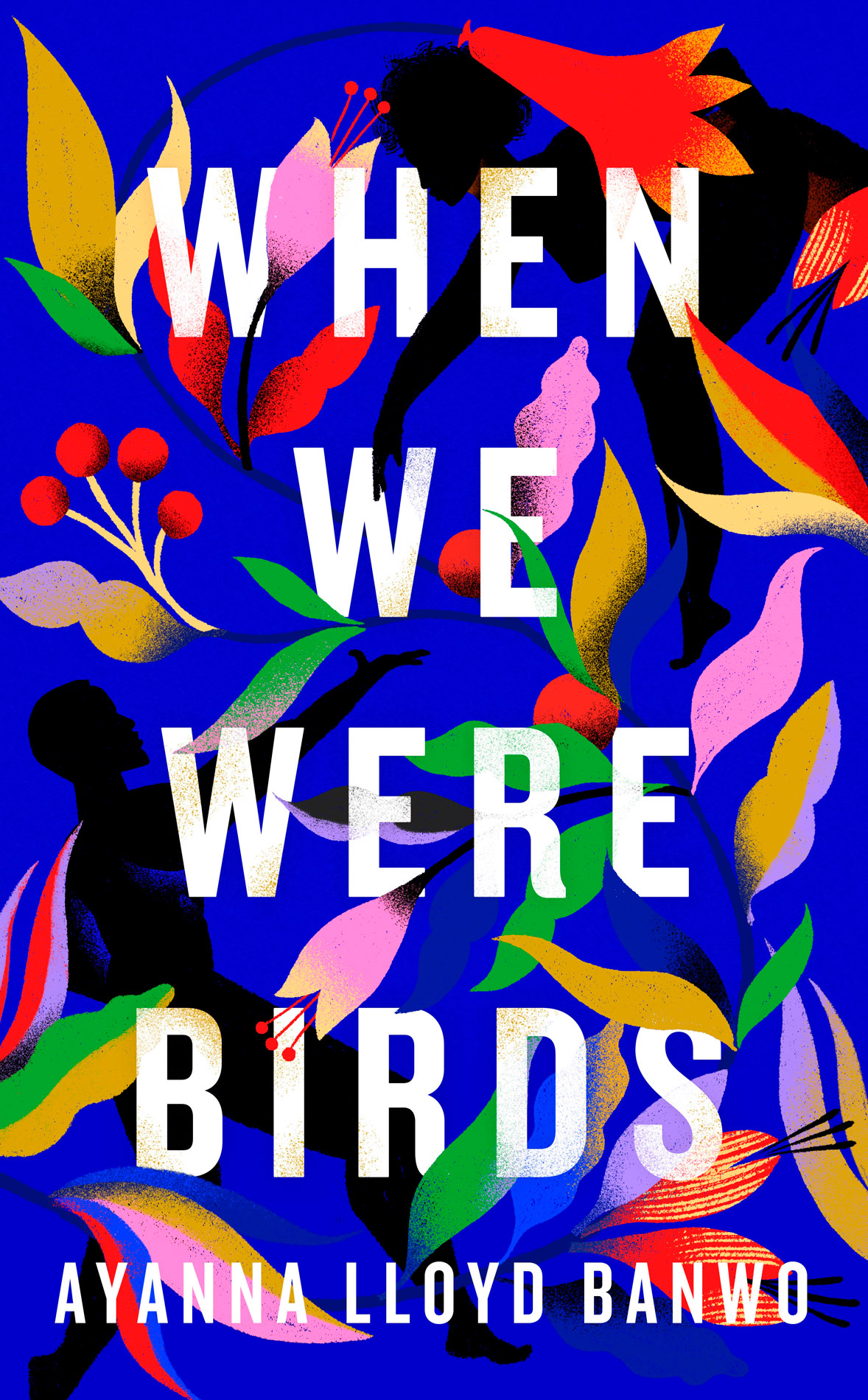 When We Were Birds Ayanna Lloyd Banwo