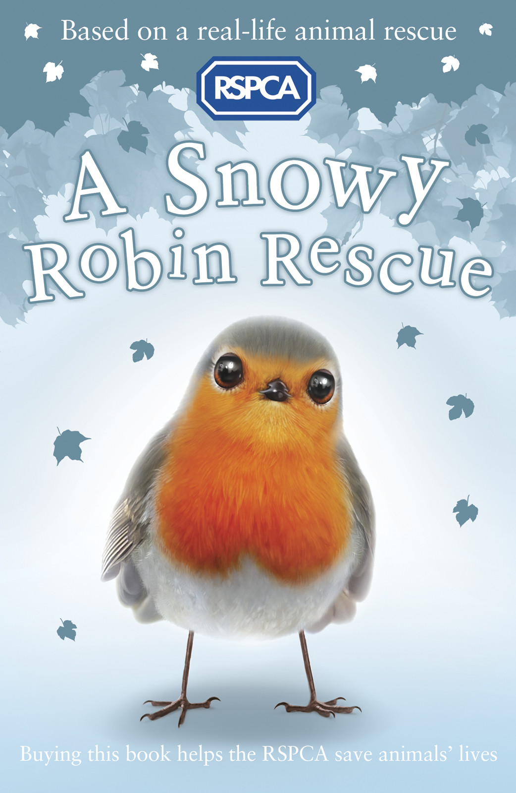 A Snowy Robin Rescue Mary Kelly
