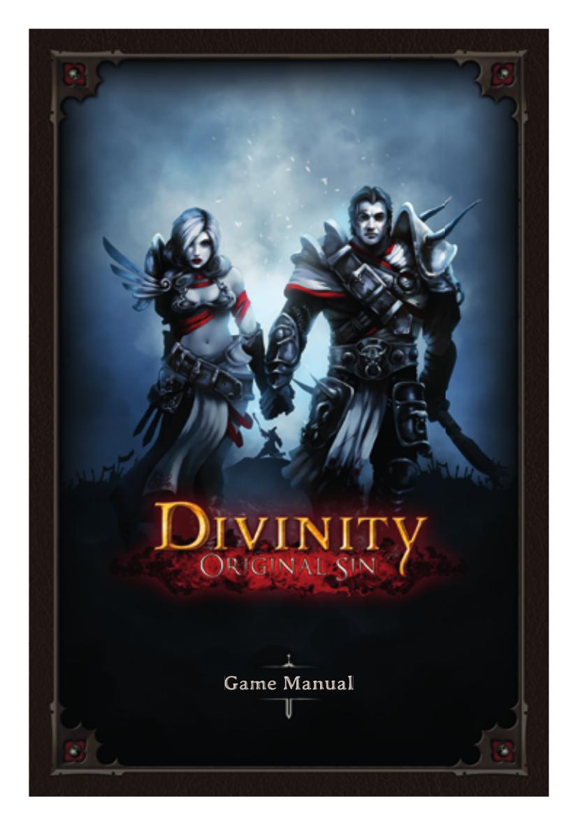 Divinity Original Sin Manual Larian Studios