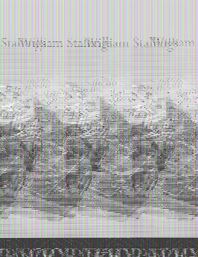 Cryptography And Network Security Principles And Practice Eighth William Stallings