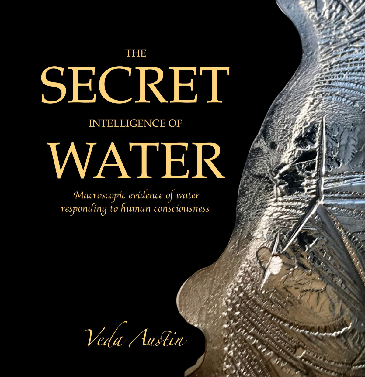 The Secret Intelligence Of Water Macroscopic Evidence Of Water Responding To Human Consciousness Veda Austin