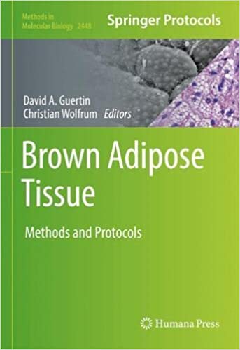 Brown Adipose Tissue David A Guertin Christian Wolfrum