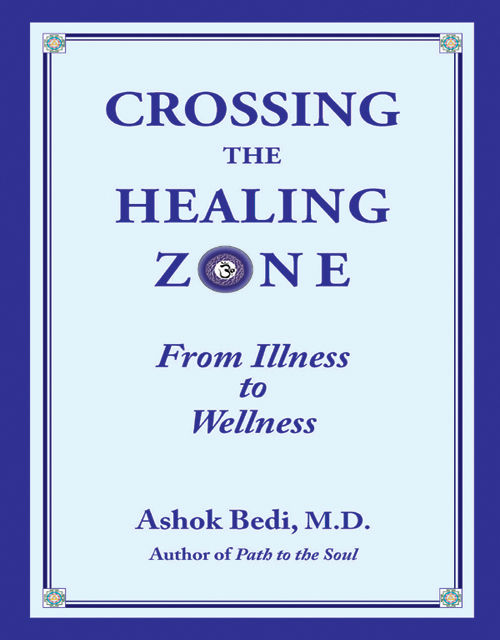 Crossing The Healing Zone Ashok Bedi