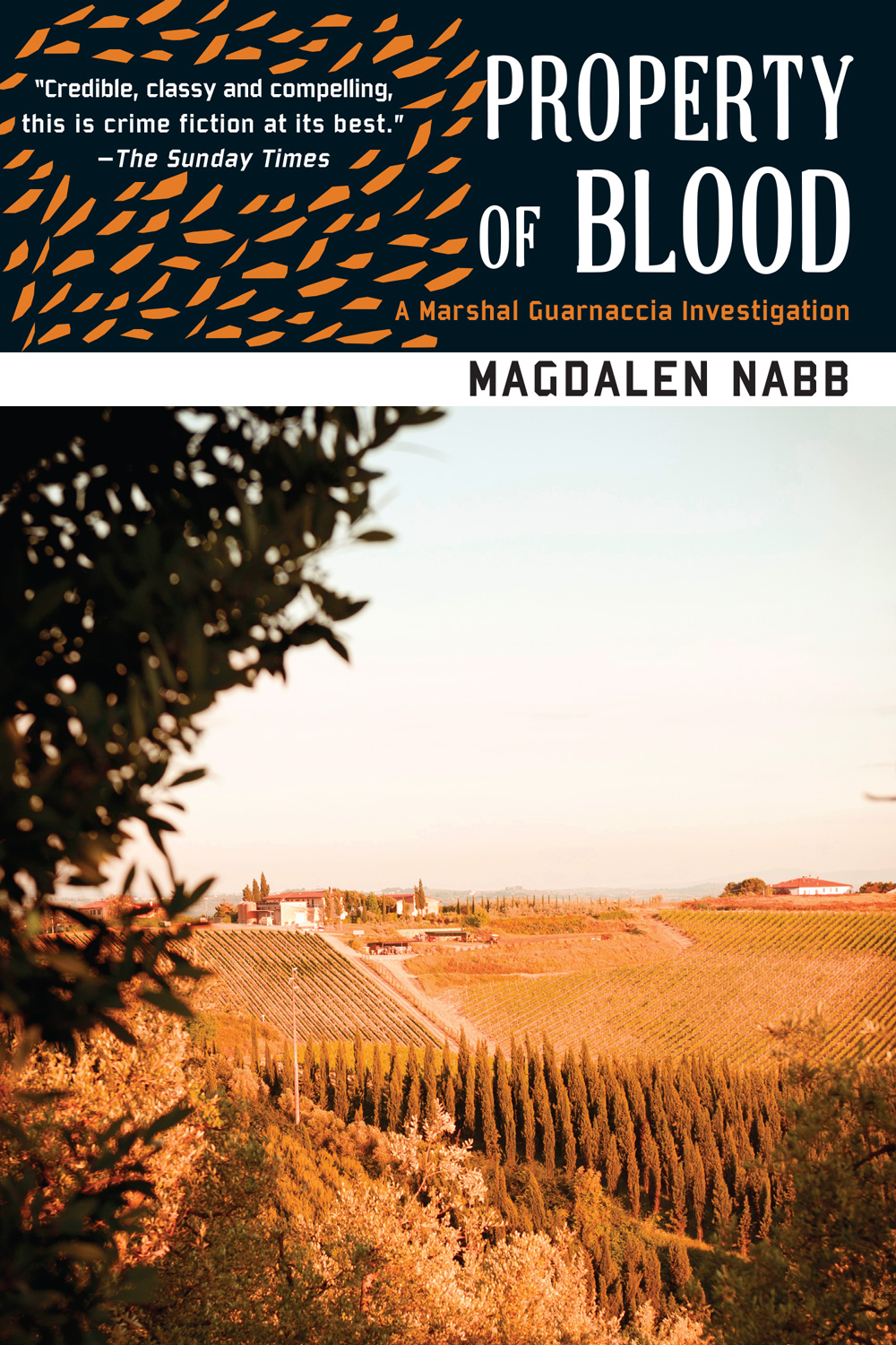Property Of Blood Magdalen Nabb