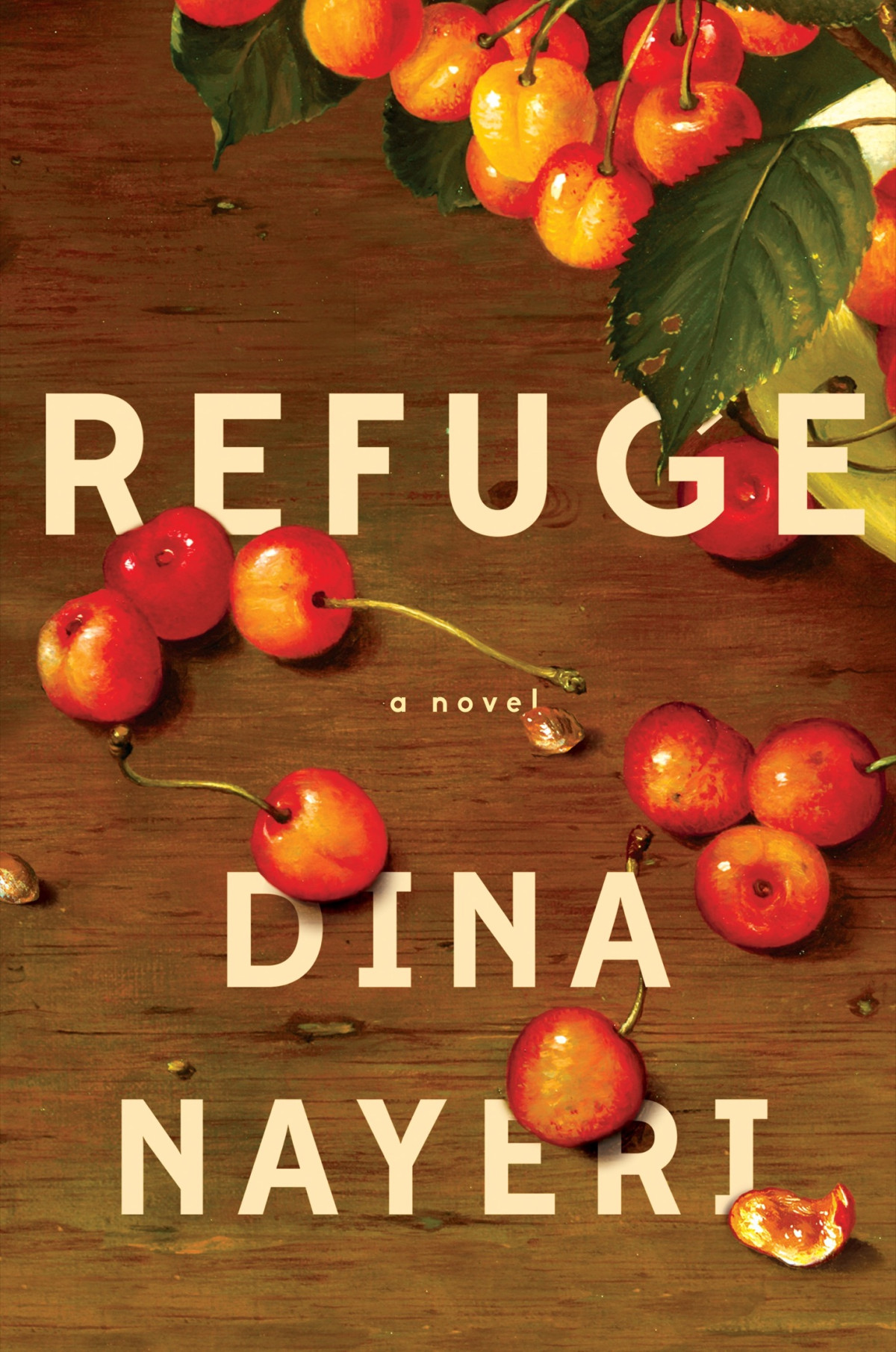 Refugea Novel Dina Nayeri