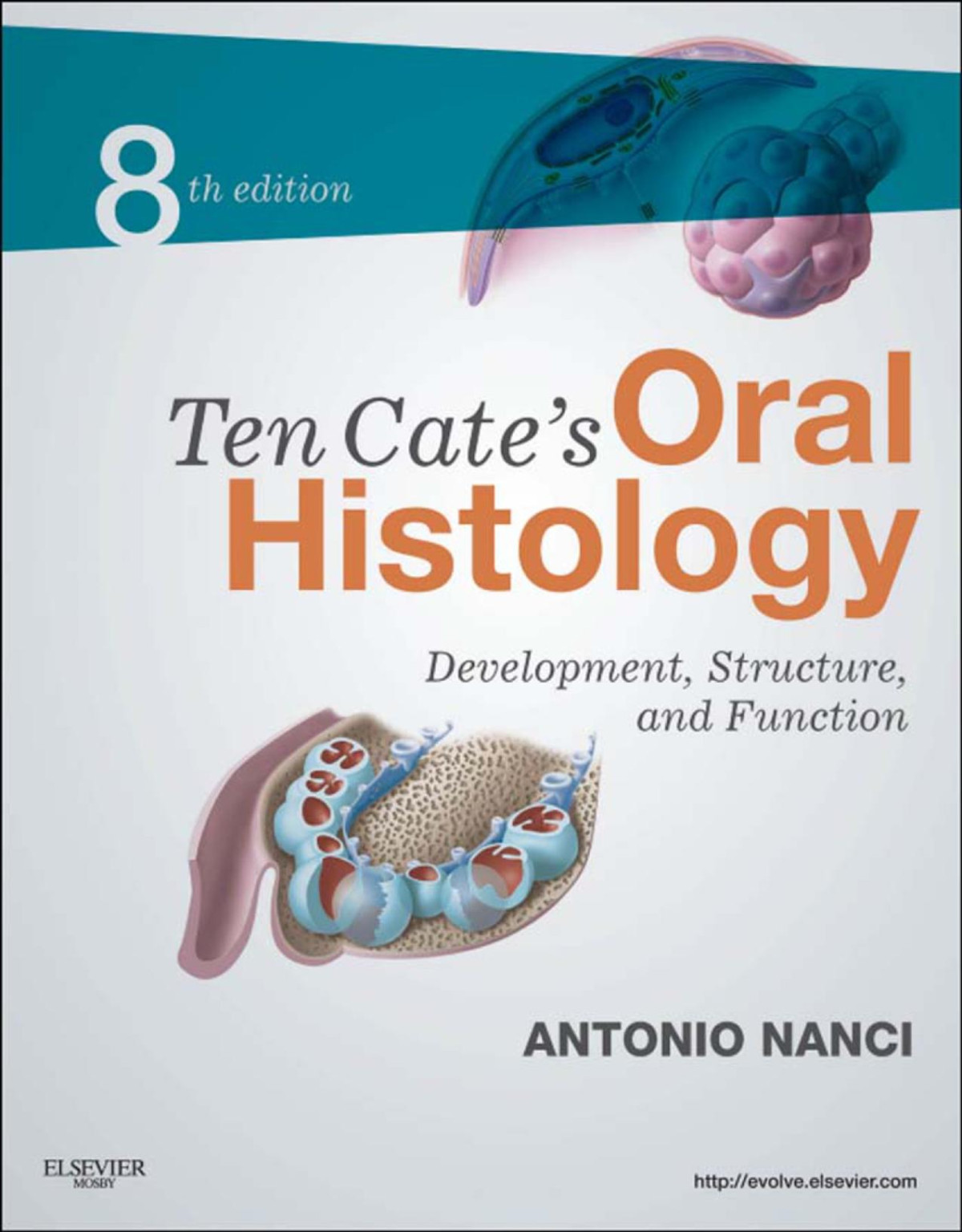 Ten Cates Oral Histology 8e Development Structure And Function Antonio Nanci