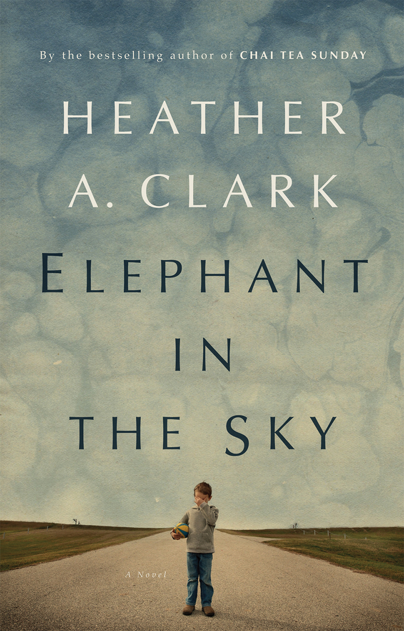 Elephant In The Sky Heather A Clark