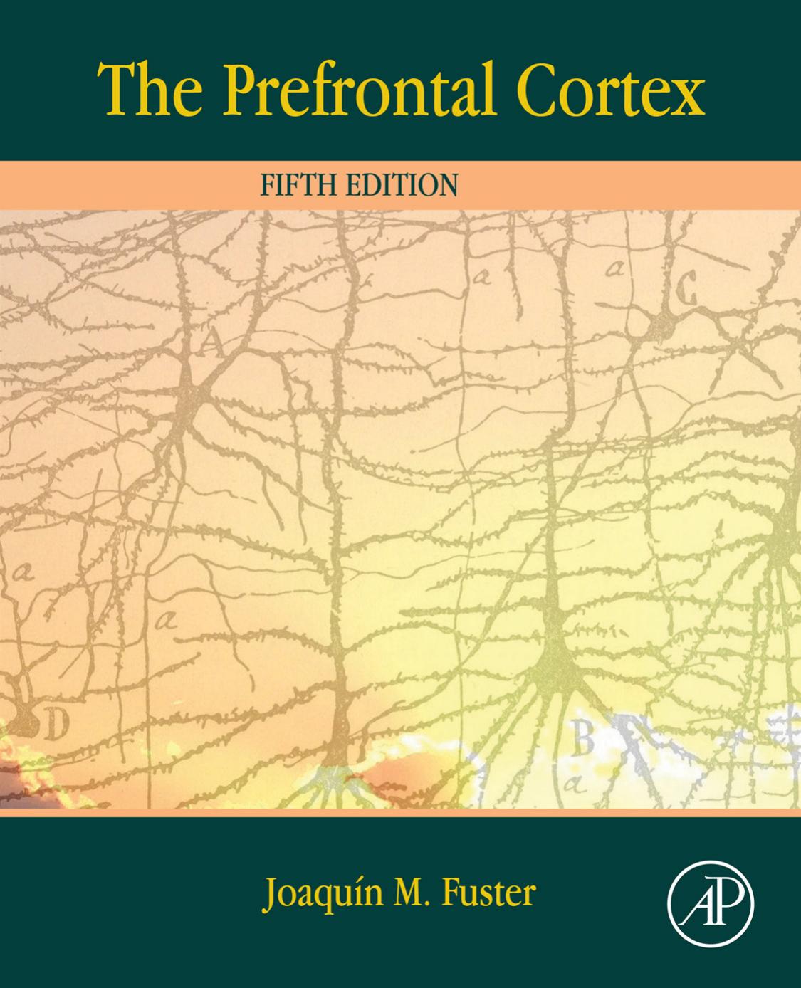 The Prefrontal Cortex Joaquin M Fuster