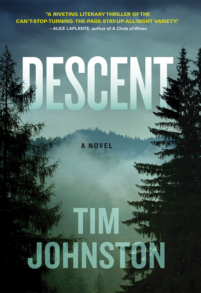 Descent Tim Johnston