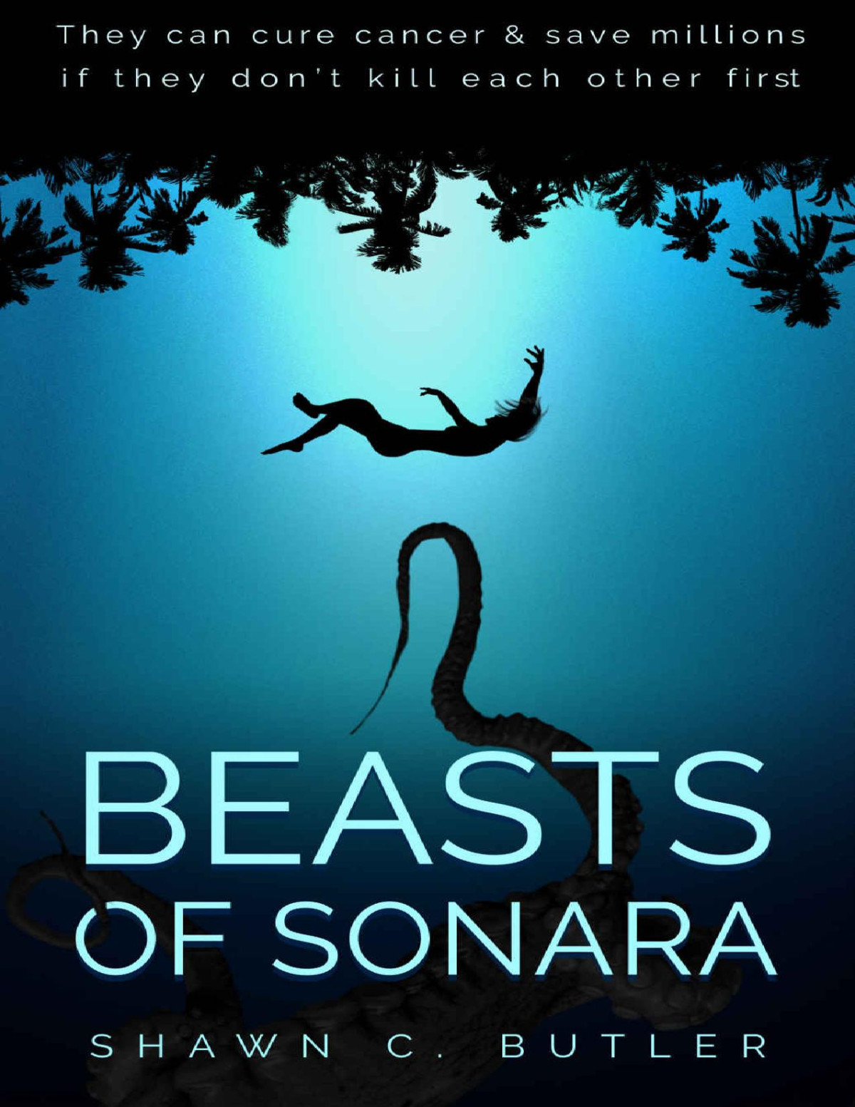 Beasts Of Sonara Shawn C Butler
