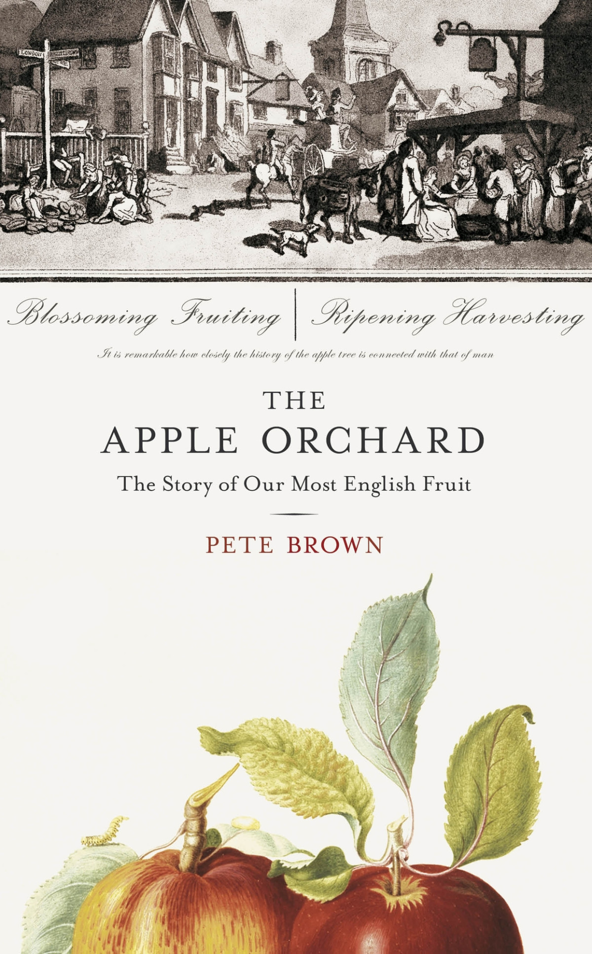 The Apple Orchard Pete Brown