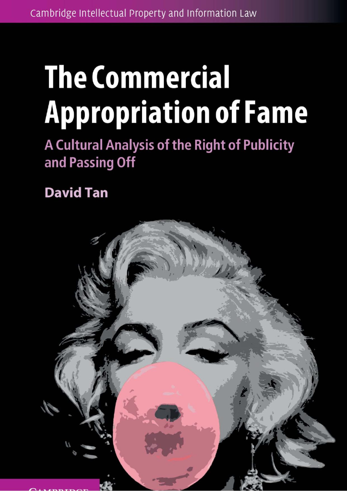 The Commercial Appropriation Of Fame David Tan