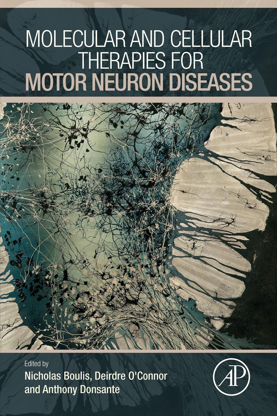 Molecular And Cellular Therapies For Motor Neuron Diseases Boulis