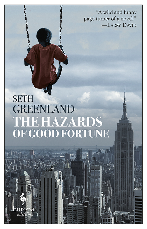 The Hazards Of Good Fortune Seth Greenland