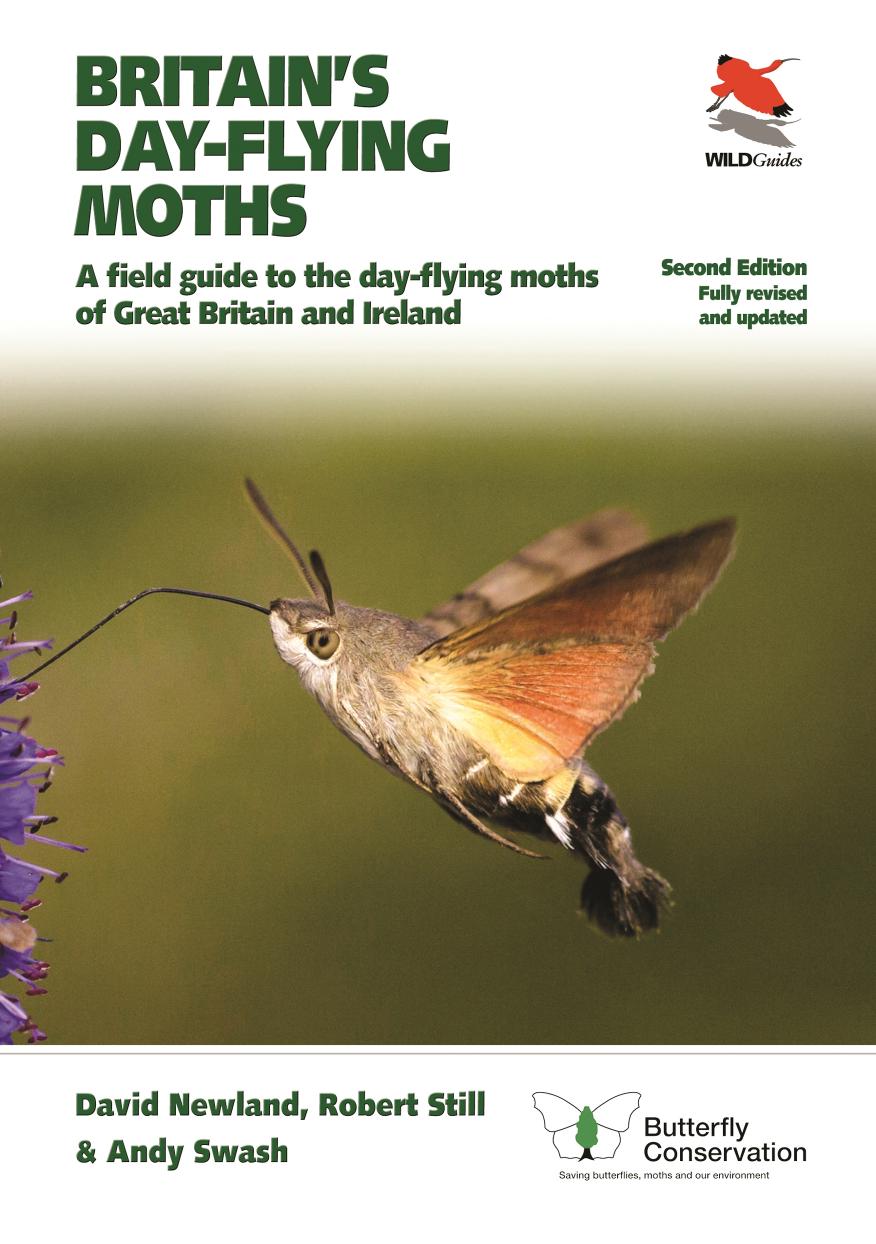 Britains Dayflying Moths A Field Guide To The Dayflying Moths Of Great Britain And Ireland Second Edition 2nd Edition David Newland