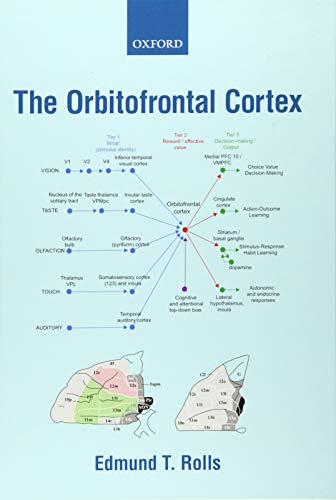 The Orbitofrontal Cortex Edmund Rolls