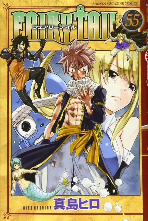Fairy Tail 55 Hiro Mashima