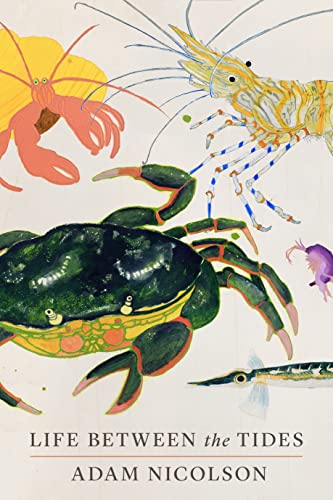 Life Between The Tides Adam Nicolson