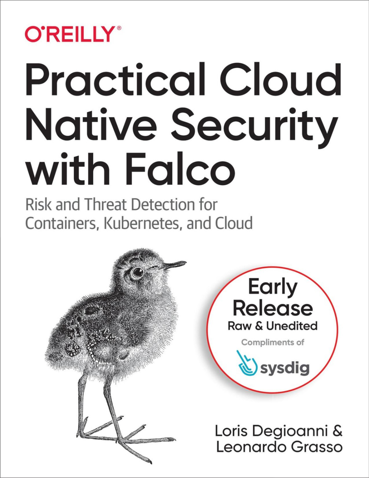 Practical Cloud Native Security With Falco Third Early Release Loris Degioanni Leonardo Grasso