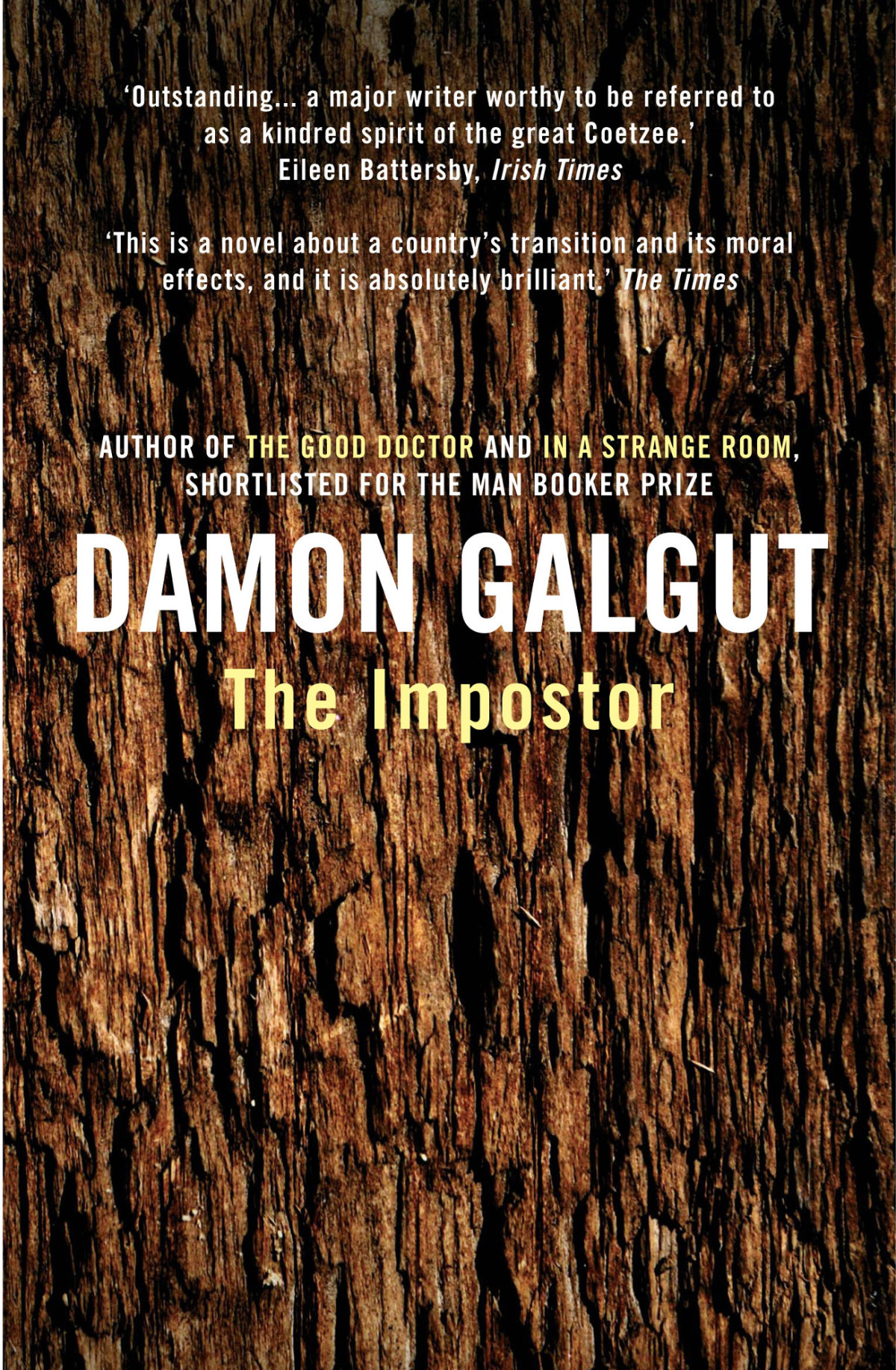The Impostor Damon Galgut