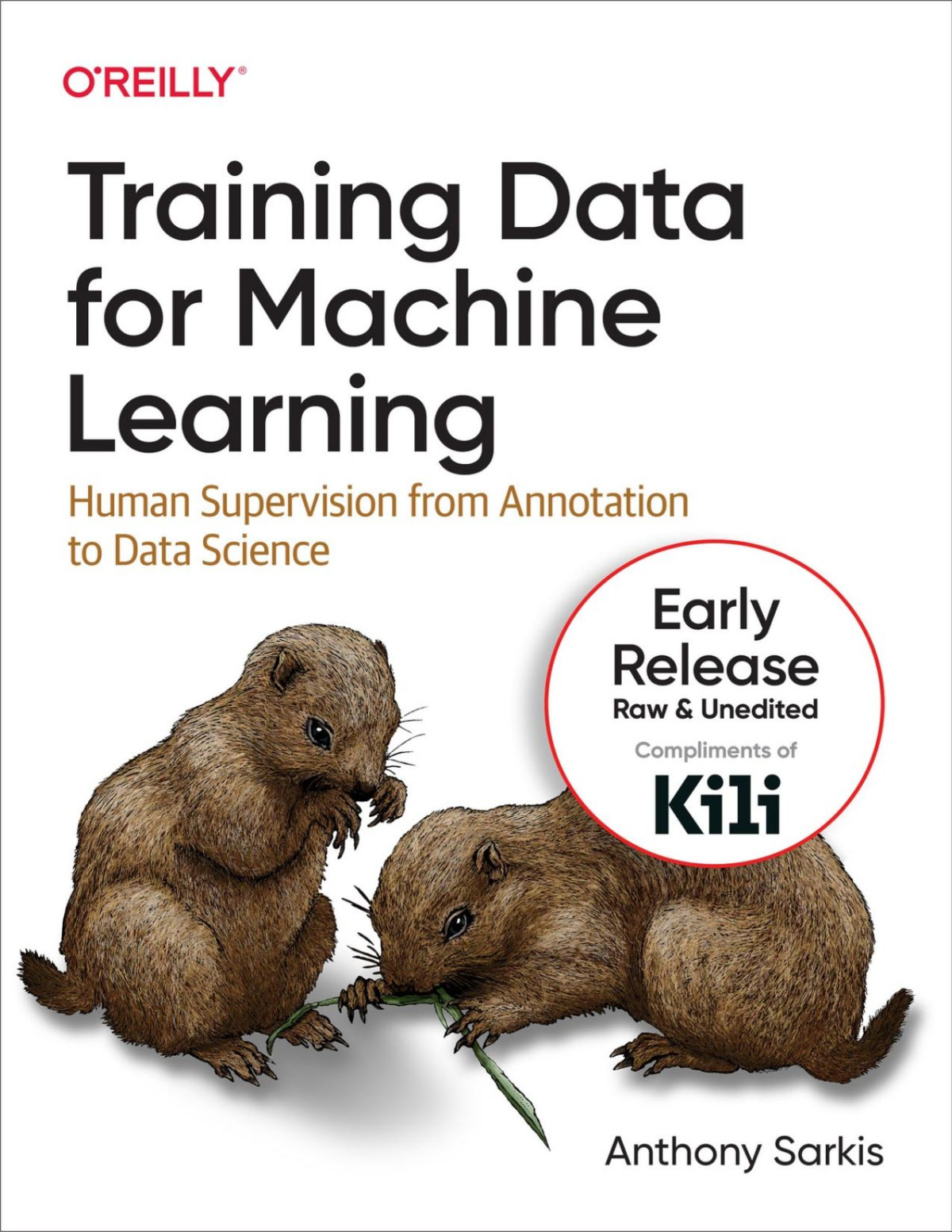 Training Data For Machine Learning Third Early Release Anthony Sarkis