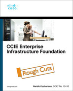 Ccie Enterprise Infrastructure Foundation 2nd Edition Rough Cut 2nd Narbik Kocharians