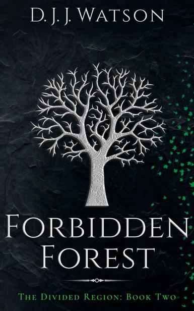 Forbidden Forest The Divided Region Book 2 Djj Watson