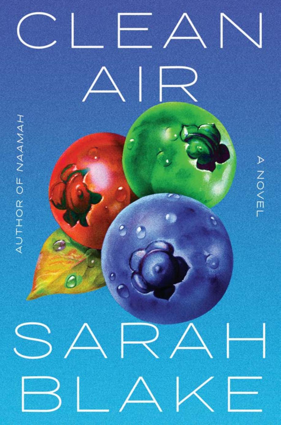Clean Air Sarah Blake