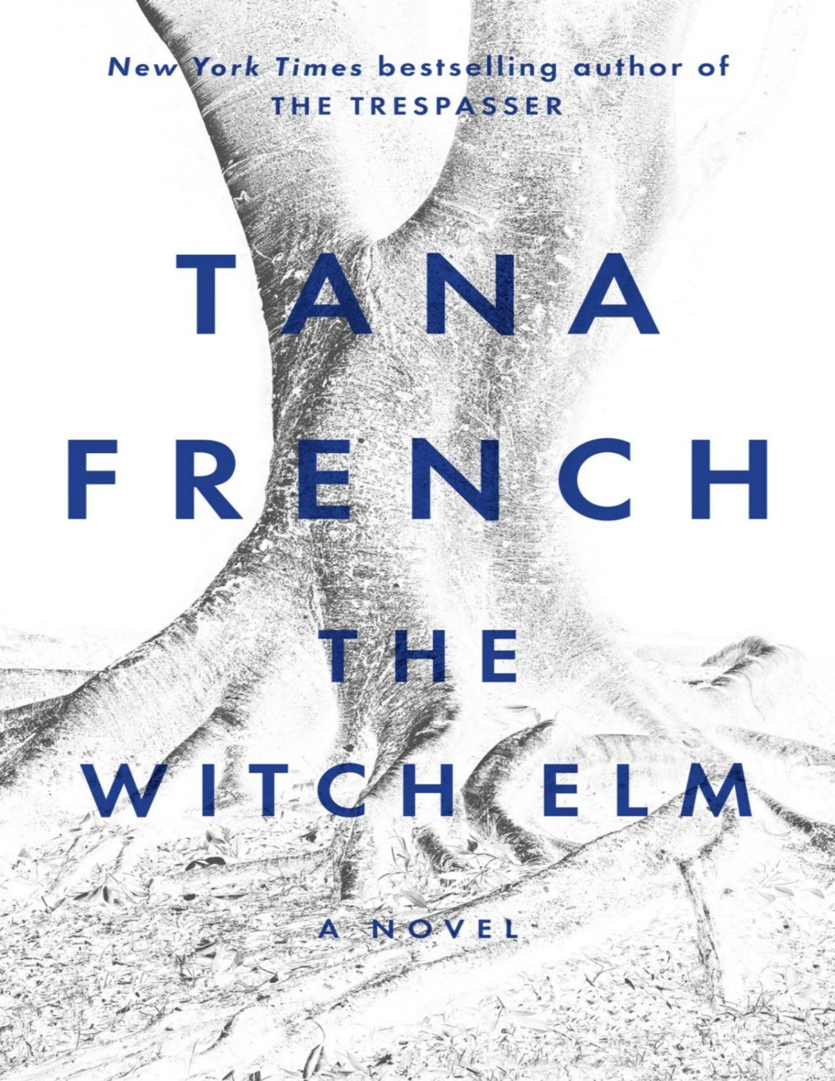 The Witch Elm Tana French