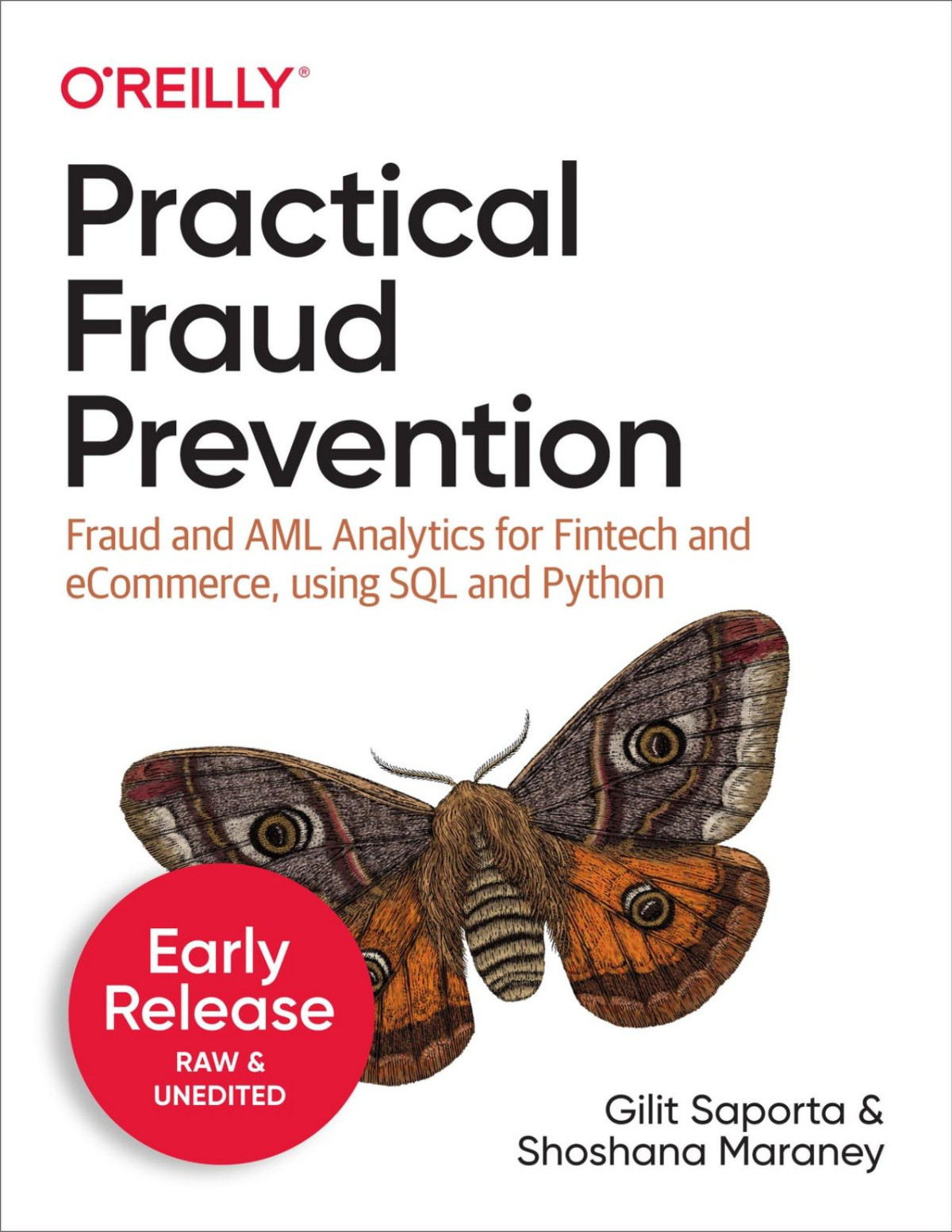 Practical Fraud Prevention Fifth Early Release Gilit Saporta