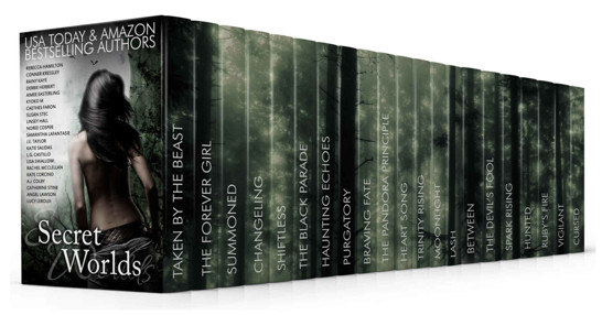 Secret Worlds Amazon Bestselling Authors