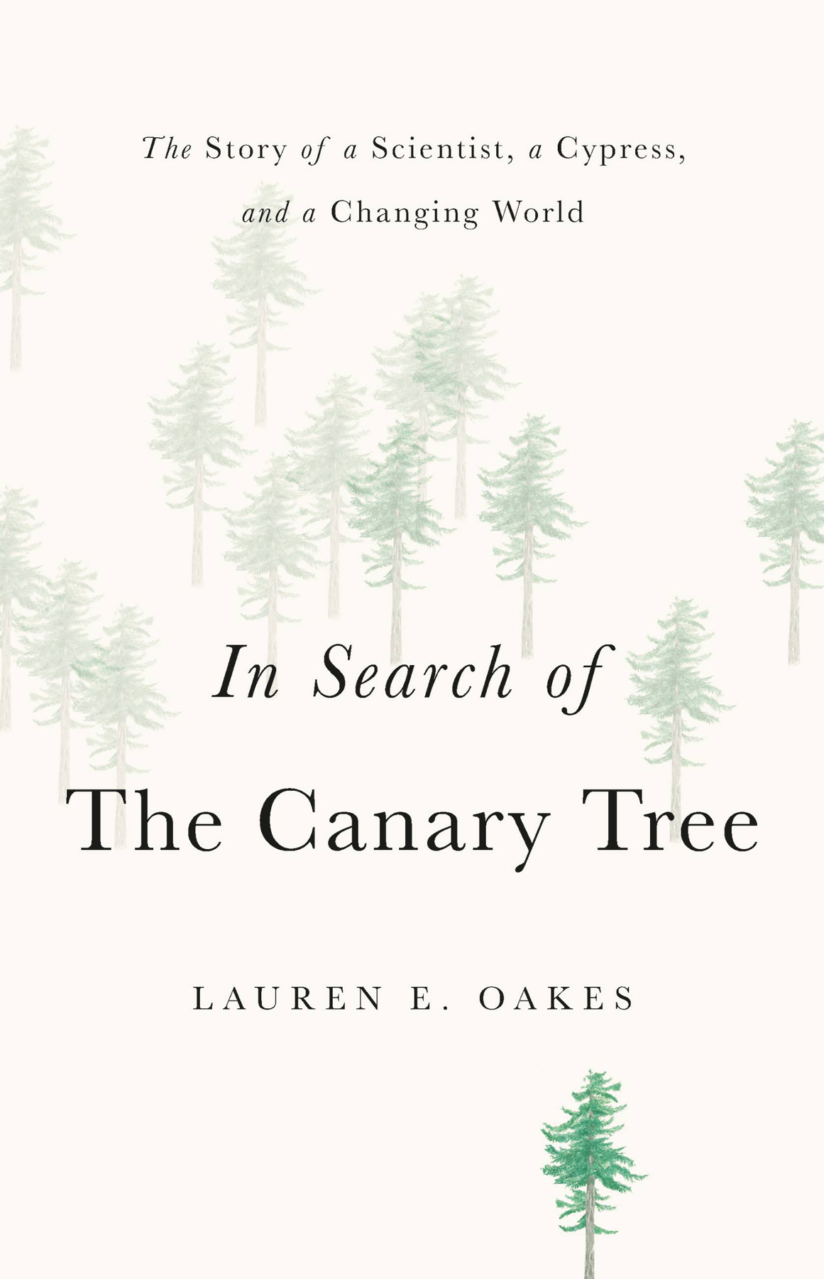 In Search Of The Canary Tree Lauren E Oakes