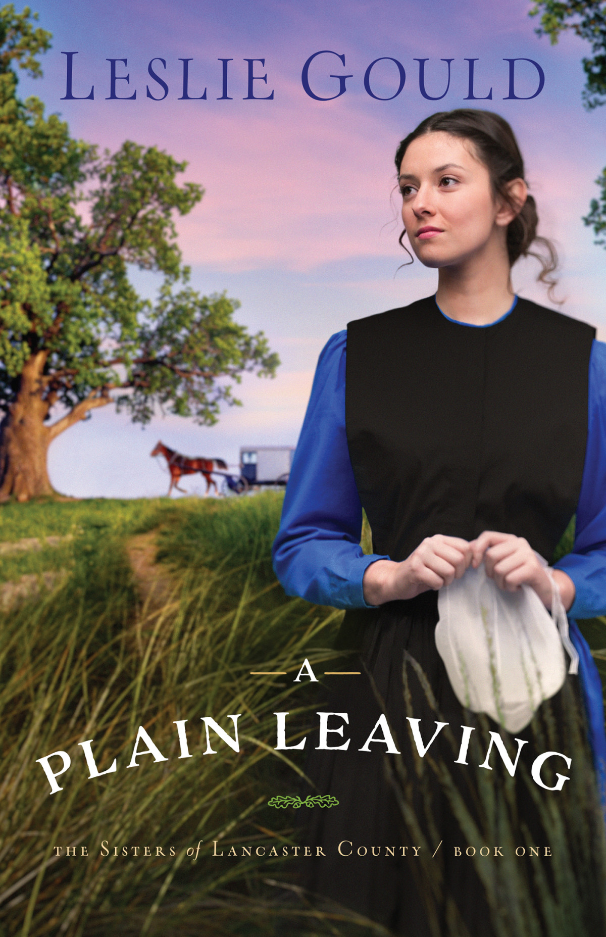 A Plain Leaving Leslie Gould
