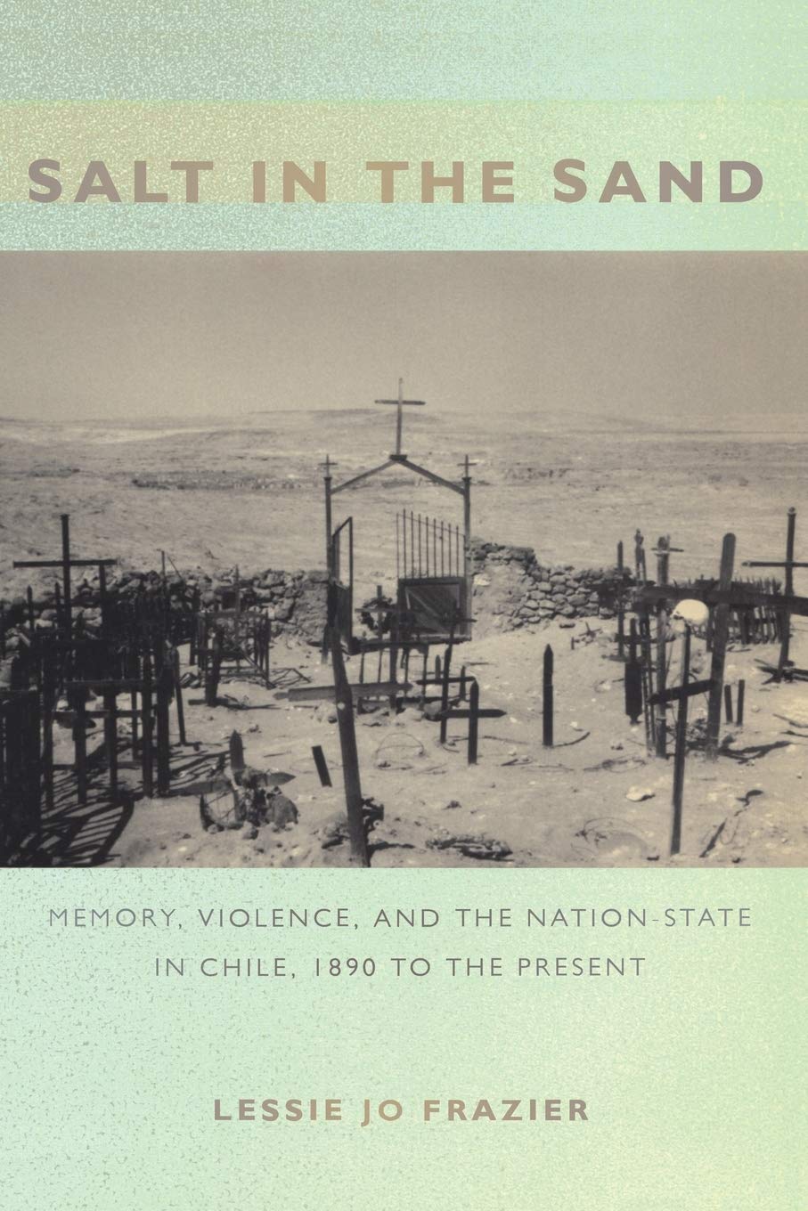 Salt In The Sand Memory Violence And The Nationstate In Chile 1890 To The Present Lessie Jo Frazier