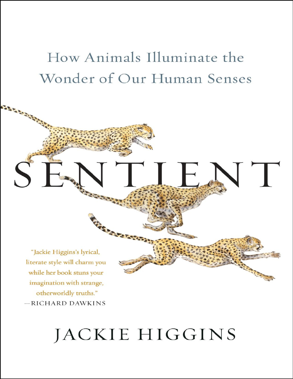 Sentient Jackie Higgins