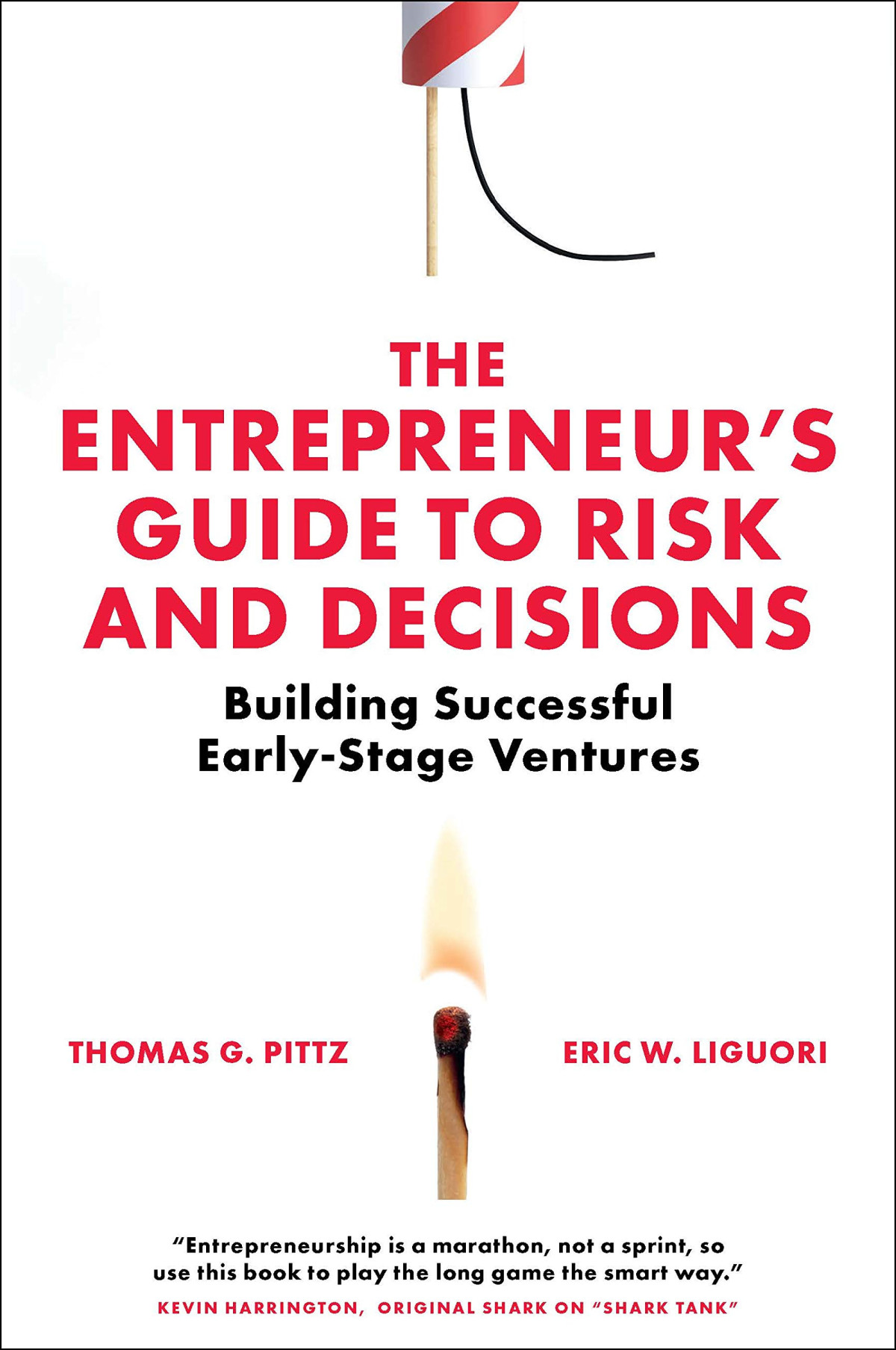 The Entrepreneurs Guide To Risk And Decisions Building Successful Earlystage Ventures Thomas G Pittz Eric W Liguori