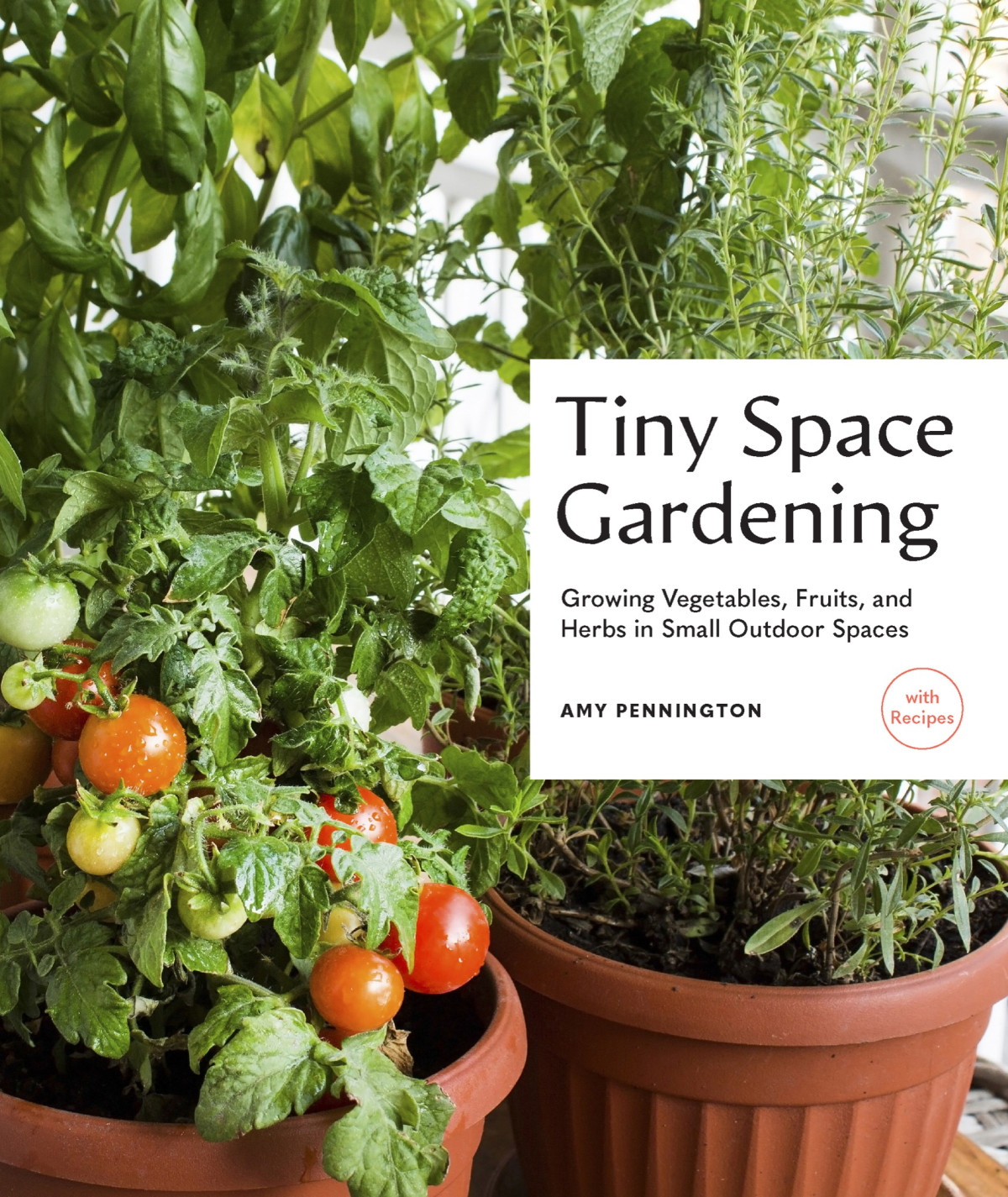 Tiny Space Gardening Growing Vegetables Fruits And Herbs In Small Outdoor Spaces With Recipes Amy Pennington
