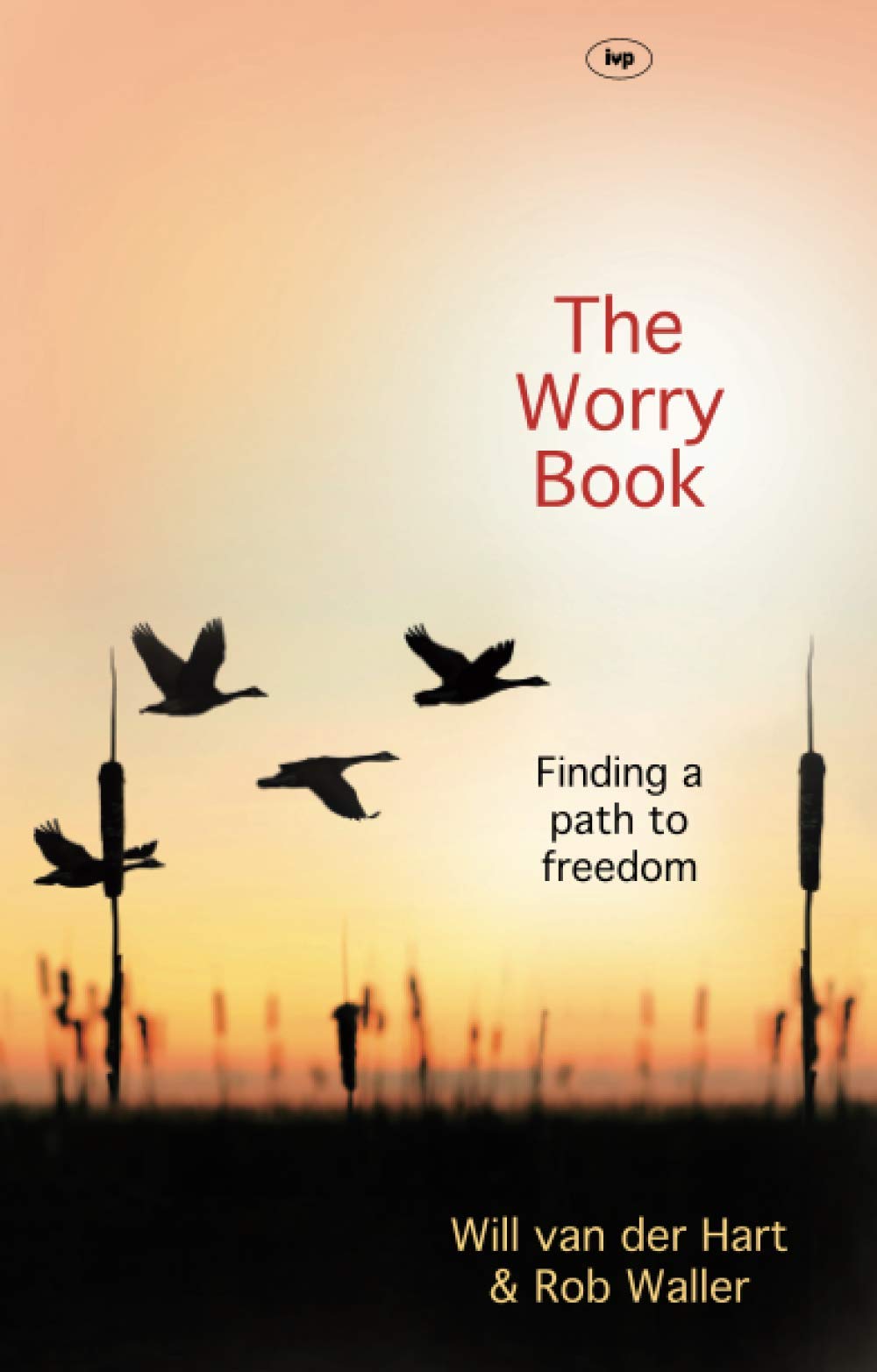 The Worry Book Finding A Path To Freedom 1st Edition Will Van Der Hart