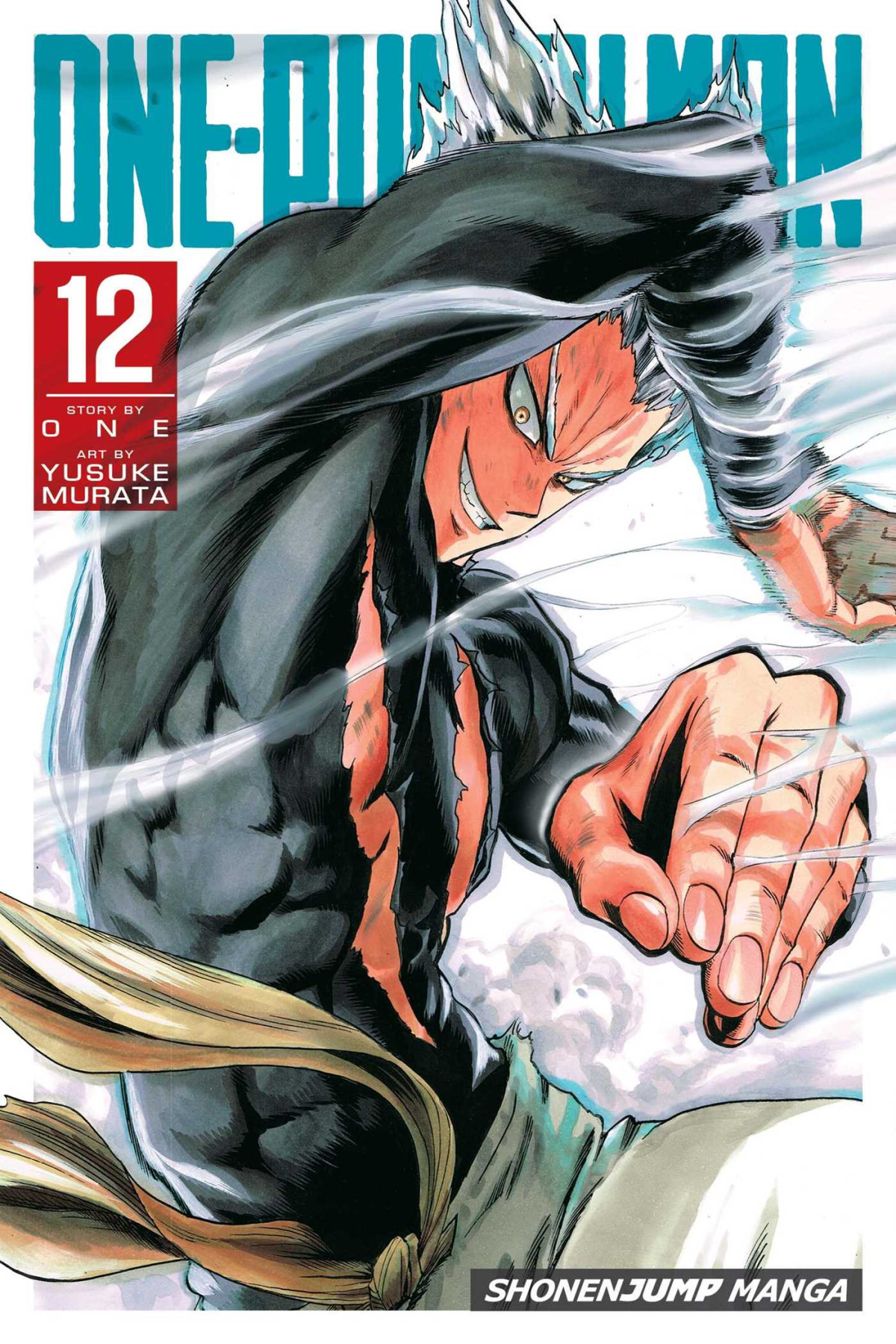 Onepunch Man Volume 12 One