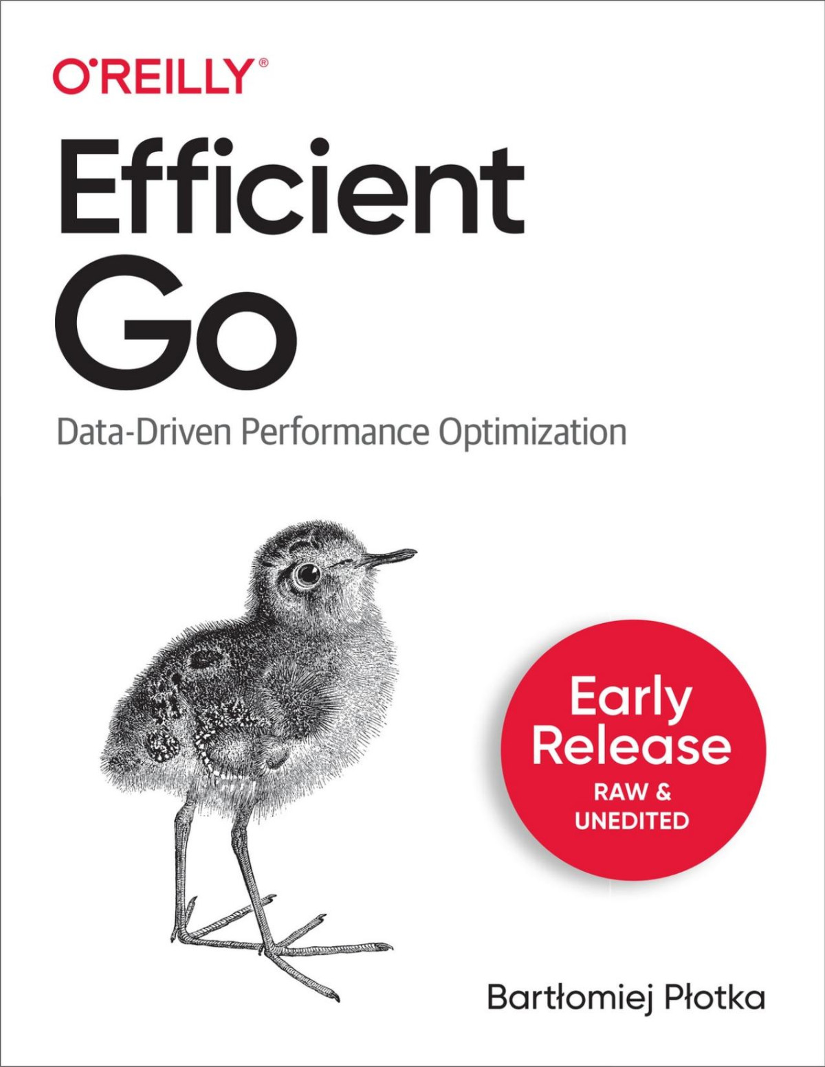 Efficient Go Data Driven Performance Optimization Third Early Release Bartlomiej Plotka