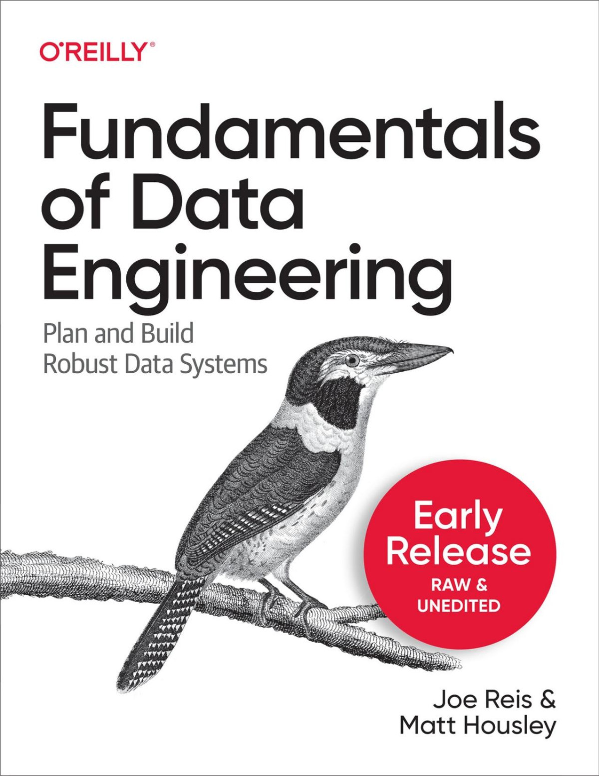 Fundamentals Of Data Engineering Third Early Release Joe Reis Matt Housley