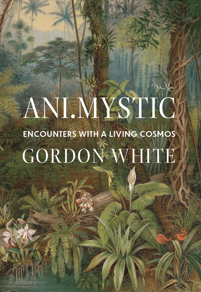 Animystic Encounters With A Living Cosmos Gordon White